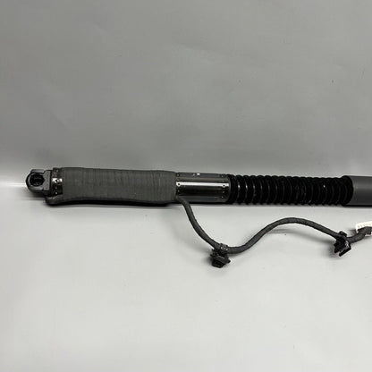 1063440-01-D TESLA MODEL X DOOR SHOCK STRUT REAR 2016 2017 2018 2019 2020 OEM 1063440-01-D