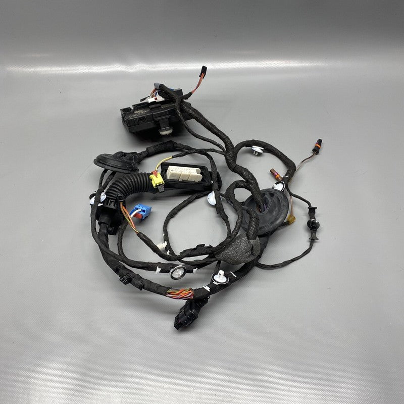 80A971030 AUDI Q5 DOOR WIRING HARNESS RIGHT FRONT 80A971030 2018 2019 2020 OEM