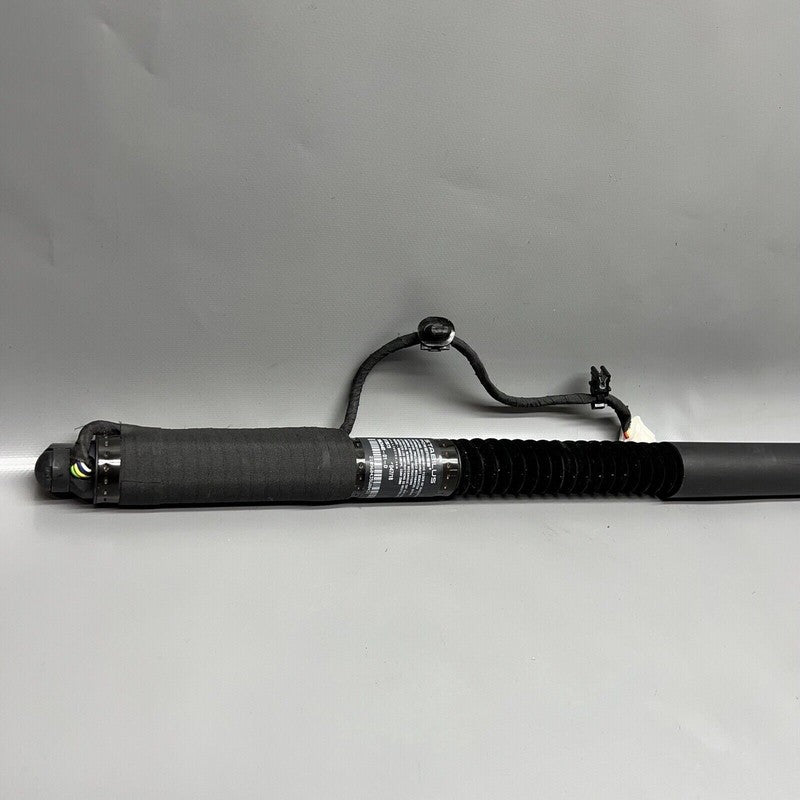 1063440-01-D TESLA MODEL X DOOR SHOCK STRUT REAR 2016 2017 2018 2019 2020 OEM 1063440-01-D