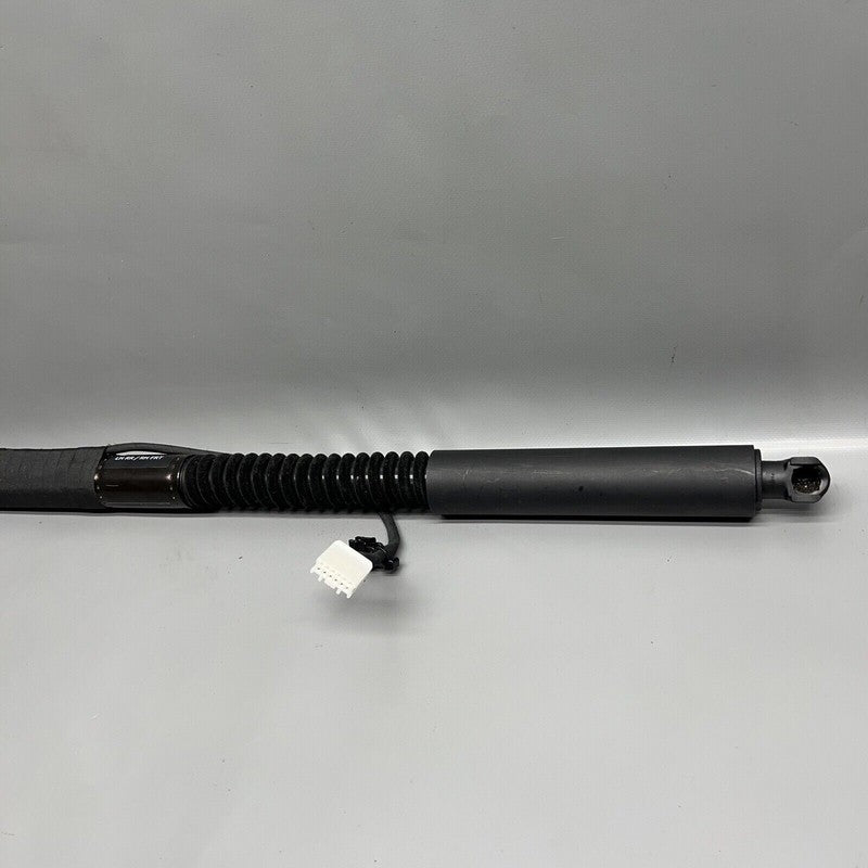 1063440-00-D TESLA MODEL X DOOR SHOCK STRUT REAR 2016 2017 2018 2019 2020 OEM 1063440-00-D