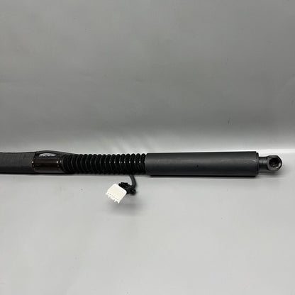 1063440-00-D TESLA MODEL X DOOR SHOCK STRUT REAR 2016 2017 2018 2019 2020 OEM 1063440-00-D
