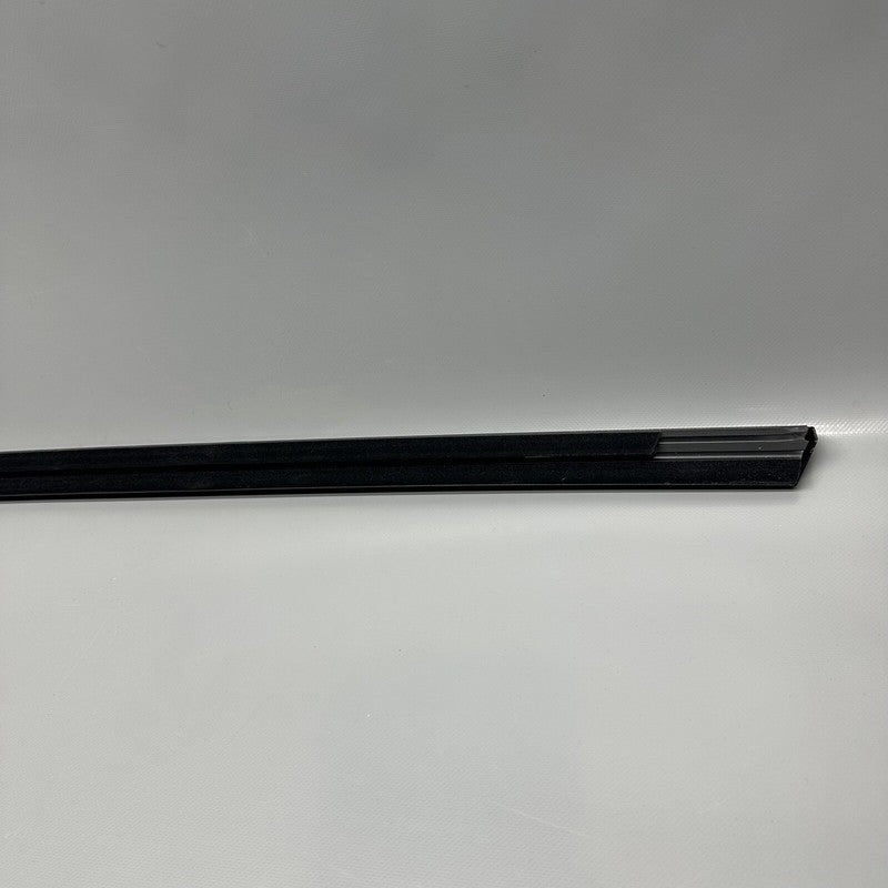 TESLA MODEL Y DOOR WINDOW BELT RIGHT REAR 2020 2021 2022 2023 OEM 