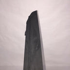1053673-00-A TESLA MODEL X FALCON DOOR REAR TRIM TRIM MOULDING COVER 2015 16 17 2018 2019 OEM