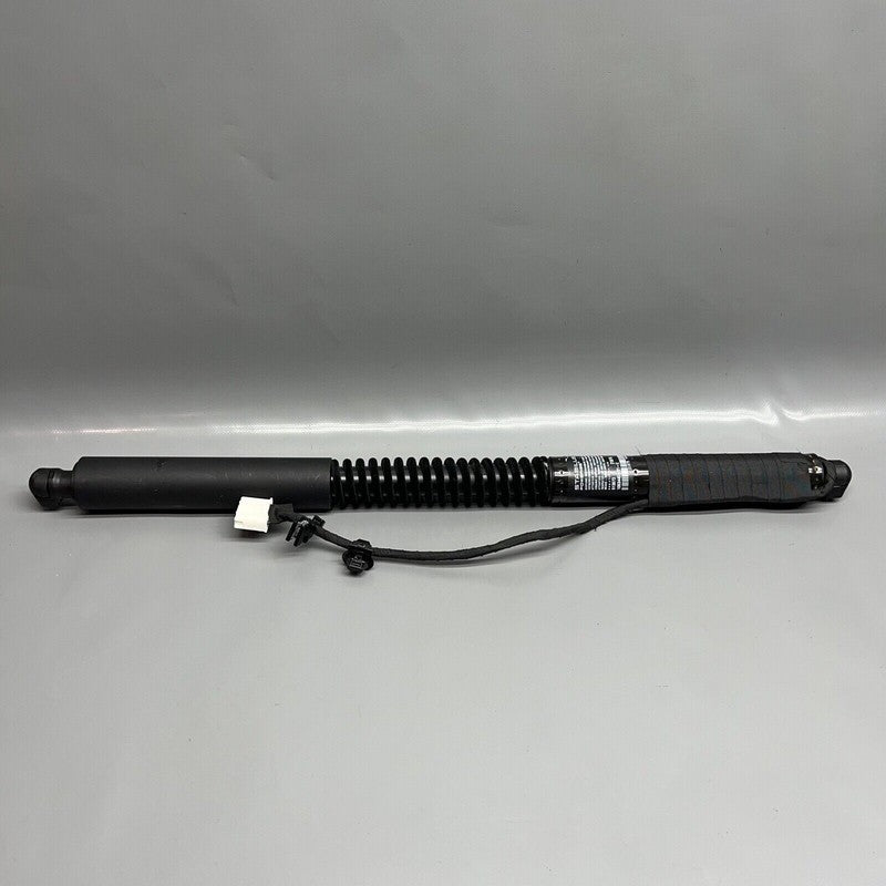 1063440-01-C TESLA MODEL X DOOR STRUT SHOCK 2016 2017 2018 2019 2020 OEM 1063440-01-C