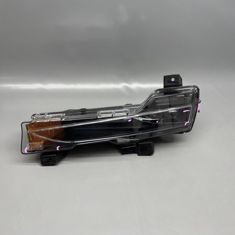 MODEL 3 TESLA MODEL 3 FOG LIGHT LEFT DRIVER 2018 2019 2020 2021 2022 2023 OEM 2 PIN