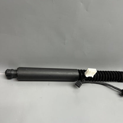 1063440-01-D TESLA MODEL X DOOR STRUT SHOCK REAR 2016 2017 2018 2019 2020 OEM 1063440-01-D