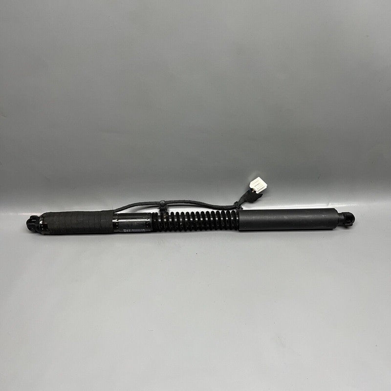 1063440-00-C TESLA MODEL X DOOR SHOCK STRUT REAR 2016 2017 2018 2019 20 2021 OEM 1063440-00-C