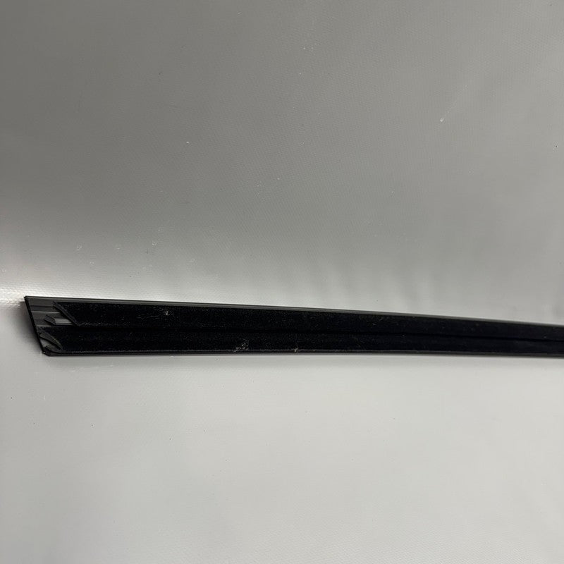 1080681-00-H TESLA MODEL 3 DOOR BELT MOLDING 2017 2018 2019 2020 2021 2022 2023 2024 2025 OEM