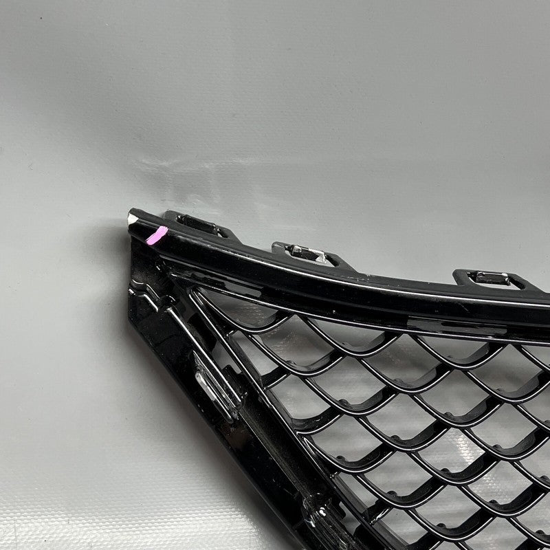 A2228850902 MERCEDES BENZ S65 AMG GRILLE FRONT BUMPER LOWER 2012 OEM A2228850902