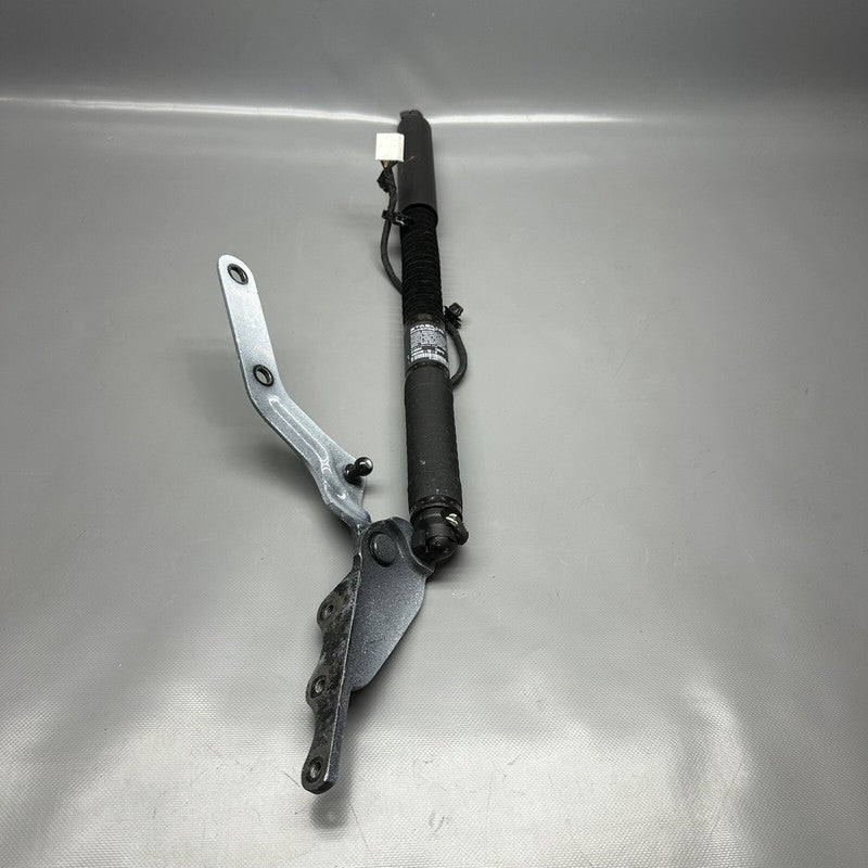 1063440-00-D TESLA MODEL X DOOR SHOCK STRUT REAR 2016 2017 2018 2019 2020 OEM 1063440-00-D