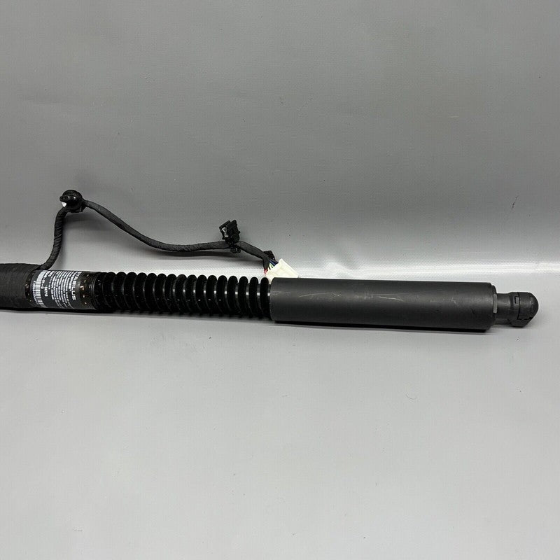 1063440-01-D TESLA MODEL X DOOR SHOCK STRUT REAR 2016 2017 2018 2019 2020 OEM 1063440-01-D