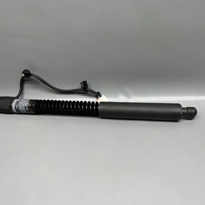 1063440-01-D TESLA MODEL X DOOR SHOCK STRUT REAR 2016 2017 2018 2019 2020 OEM 1063440-01-D