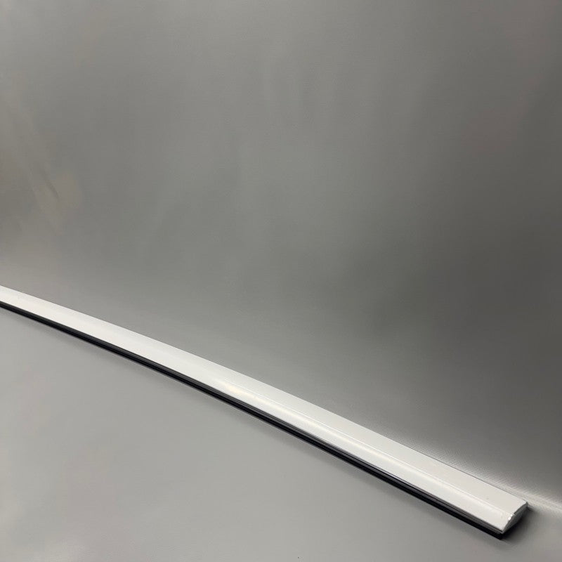 TESLA MODEL 3 DOOR WINDOW MOLDING RIGHT REAR 2017 2018 2019 2020 OEM