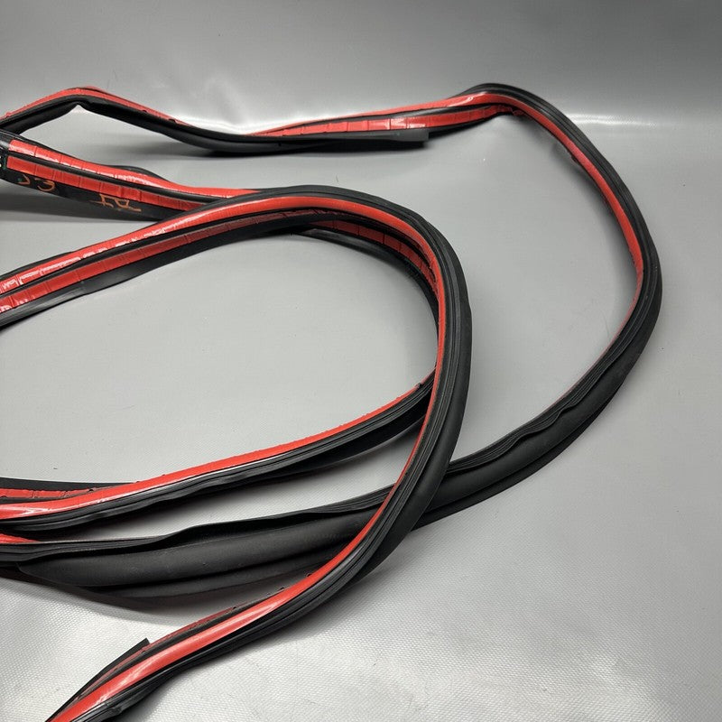 1032469-00-E TESLA MODEL X PRIMARY DOOR SEAL LEFT REAR 2016 17 18 19 2020 OEM 1032469-00-E