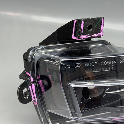 1077390-00-F TESLA MODEL 3 FOG LIGHT RIGHT PASSENGER 2017 18 19 20 21 2022 2 PIN 1077390-00-F