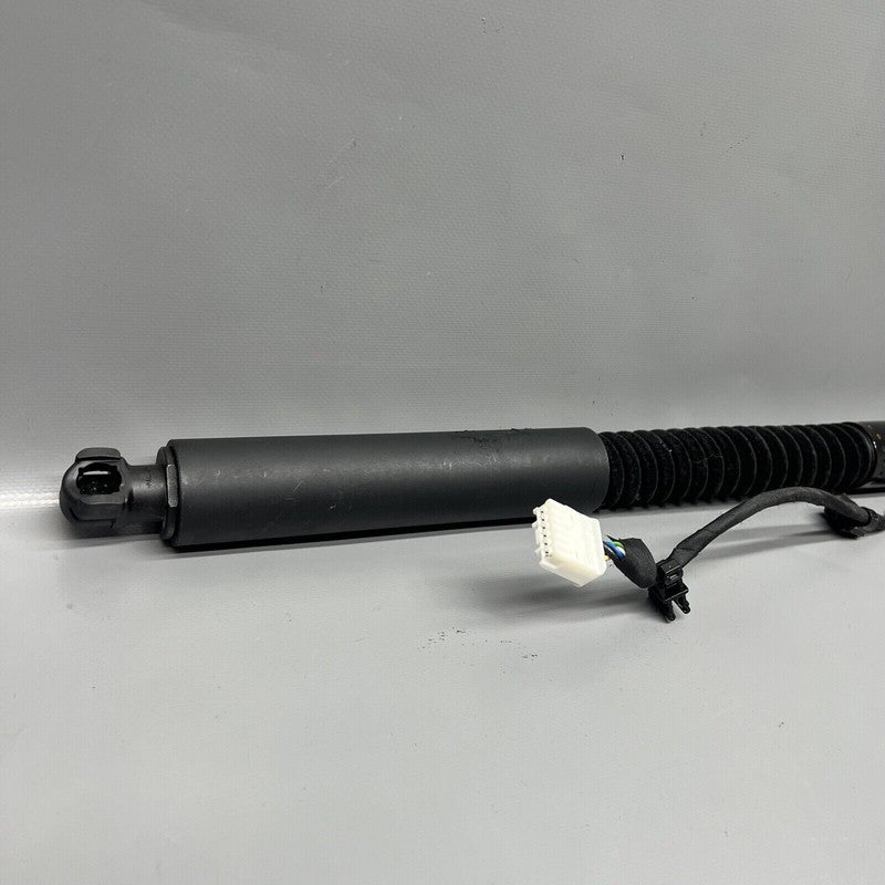 1063440-00-C TESLA MODEL X DOOR SHOCK STRUT REAR 2016 2017 2018 2019 2020 OEM 1063440-00-C