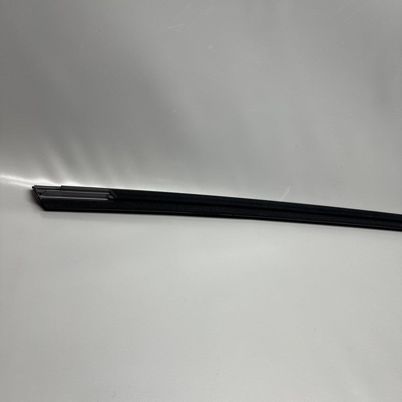 TESLA MODEL Y DOOR WINDOW BELT RIGHT REAR 2020 2021 2022 2023 OEM 