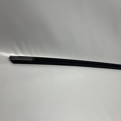 TESLA MODEL Y DOOR WINDOW BELT RIGHT REAR 2020 2021 2022 2023 OEM 