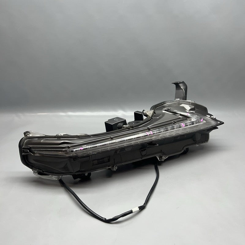 NX200 LEXUS NX200 RUNNING FOG LIGHT RIGHT PASSENGER 2016 2017 2018 2019 OEM 