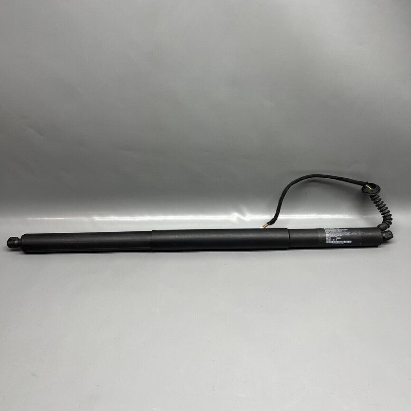 1065664-00-B TESLA MODEL X LIFT GATE SHOCK STRUT LEFT 2016 2017 2018 19 2020 OEM 1065664-00-B