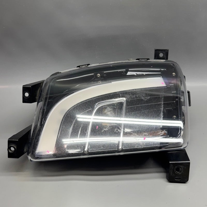 TESLA MODEL X FOG LIGHT RIGHT PASSENGER 2016 2017 2018 2019 2020 OEM