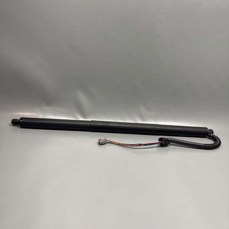 TESLA MODEL S LIFT GATE STRUT RIGHT REAR 2021 2022 2023 OEM 1648016-00