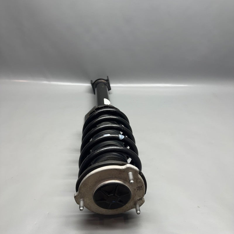 TESLA MODEL 3 SHOCK STRUT RIGHT FRONT 2017 2018 2019 2020 2021 OEM 118