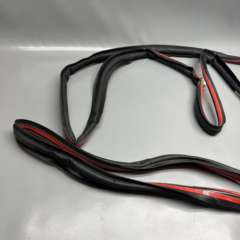1032469-75-C TESLA MODEL X PRIMARY DOOR SEAL LEFT REAR 2016 17 18 19 2020 OEM 1032469-75-C