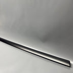TESLA MODEL 3 DOOR WINDOW MOLDING RIGHT REAR 2017 18 19 20 21 2022 108