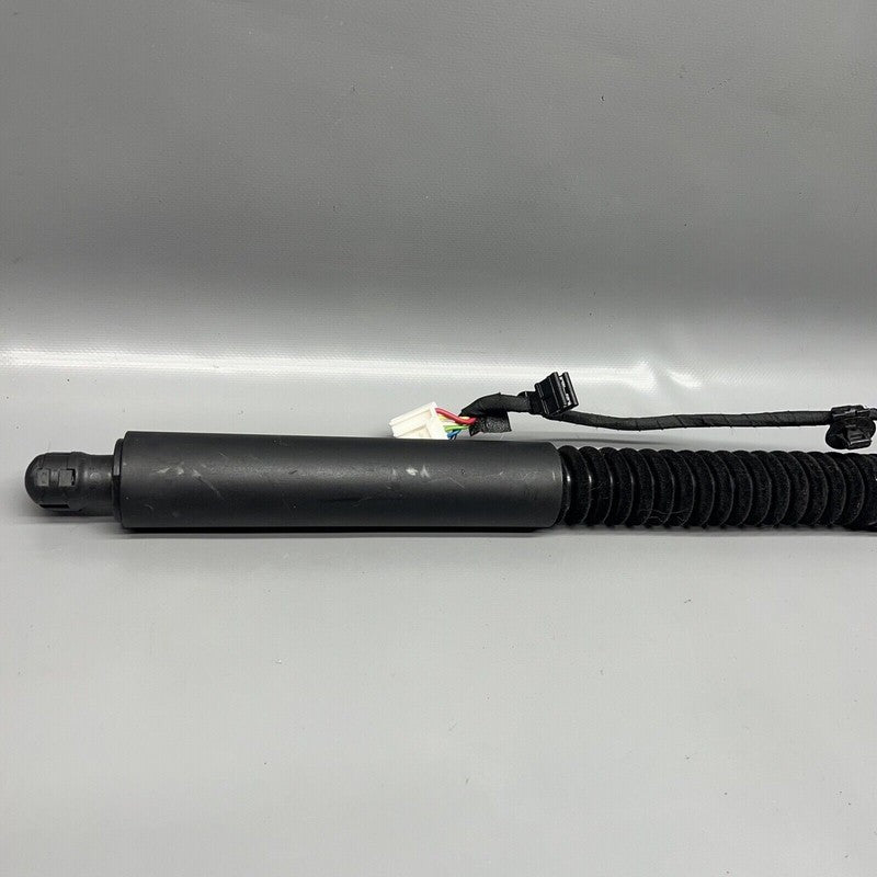 1063440-00-C TESLA MODEL X DOOR SHOCK STRUT REAR 2016 2017 2018 2019 2020 OEM 1063440-00-C