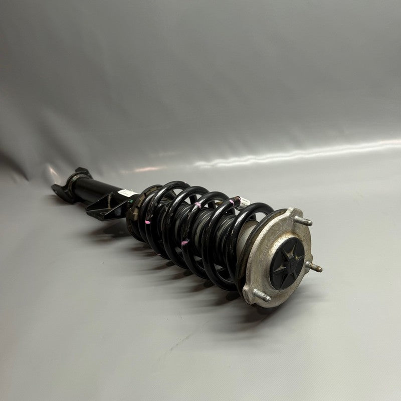 TESLA MODEL 3 SHOCK STRUT LEFT FRONT 2017 2018 2019 2020 2021 2022 202