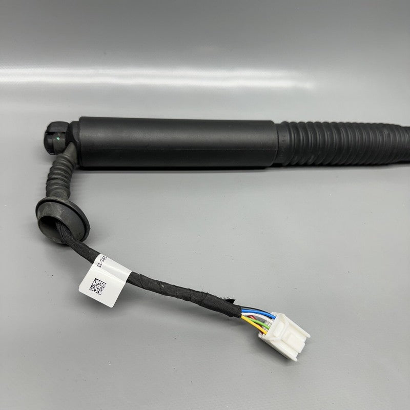 1551488-00-C TESLA MODEL 3 LIFTGATE STRUT LEFT REAR 2017 2018 2019 2020 2021 2022 2023 OEM