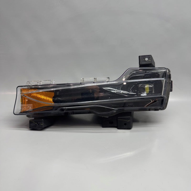 TESLA MODEL 3 FOG LIGHT LEFT DRIVER 2017 2018 2019 2020 2021 2022 OEM