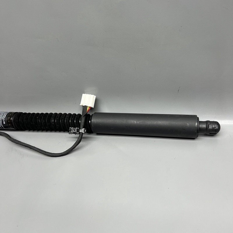 1063440-00-D TESLA MODEL X DOOR SHOCK STRUT REAR 2016 2017 2018 2019 2020 OEM 1063440-00-D