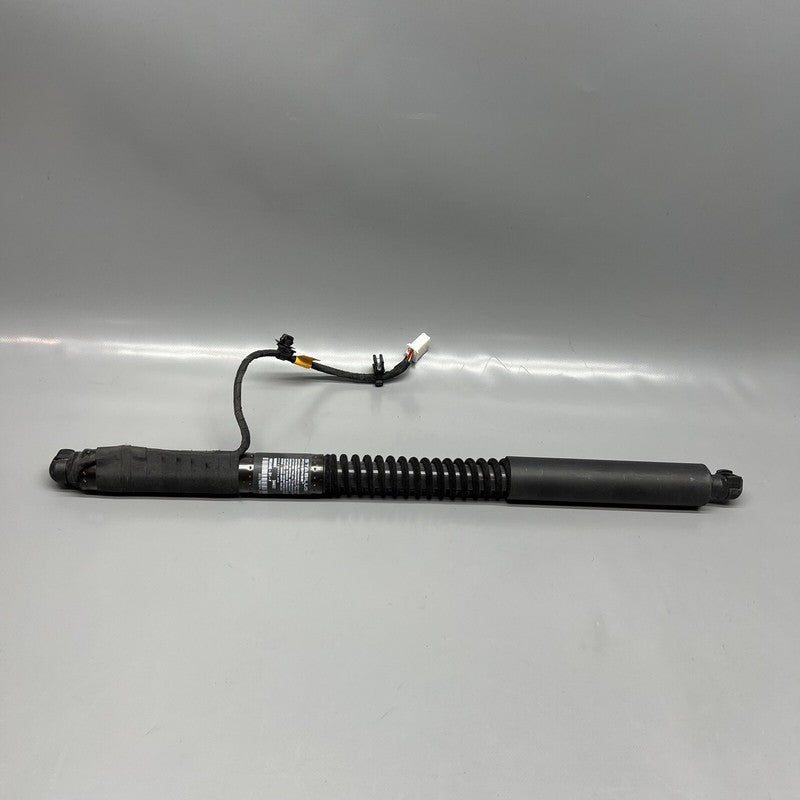 1063440-01-F TESLA MODEL X DOOR STRUT SHOCK REAR 2016 2017 2018 2019 20 2021 OEM 1063440-01-F