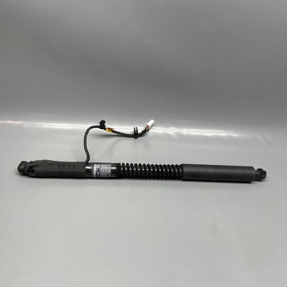 1063440-01-F TESLA MODEL X DOOR STRUT SHOCK REAR 2016 2017 2018 2019 20 2021 OEM 1063440-01-F