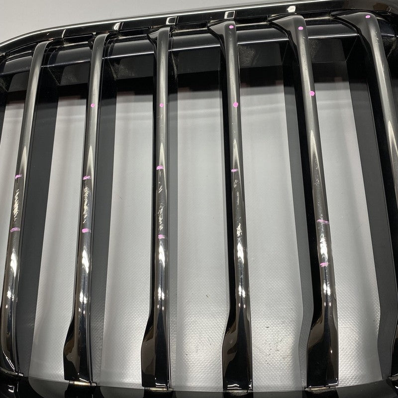 8745730 BMW X7 FRONT BUMPER RADIATOR GRILLE 2017 2018 2019 OEM 8745730