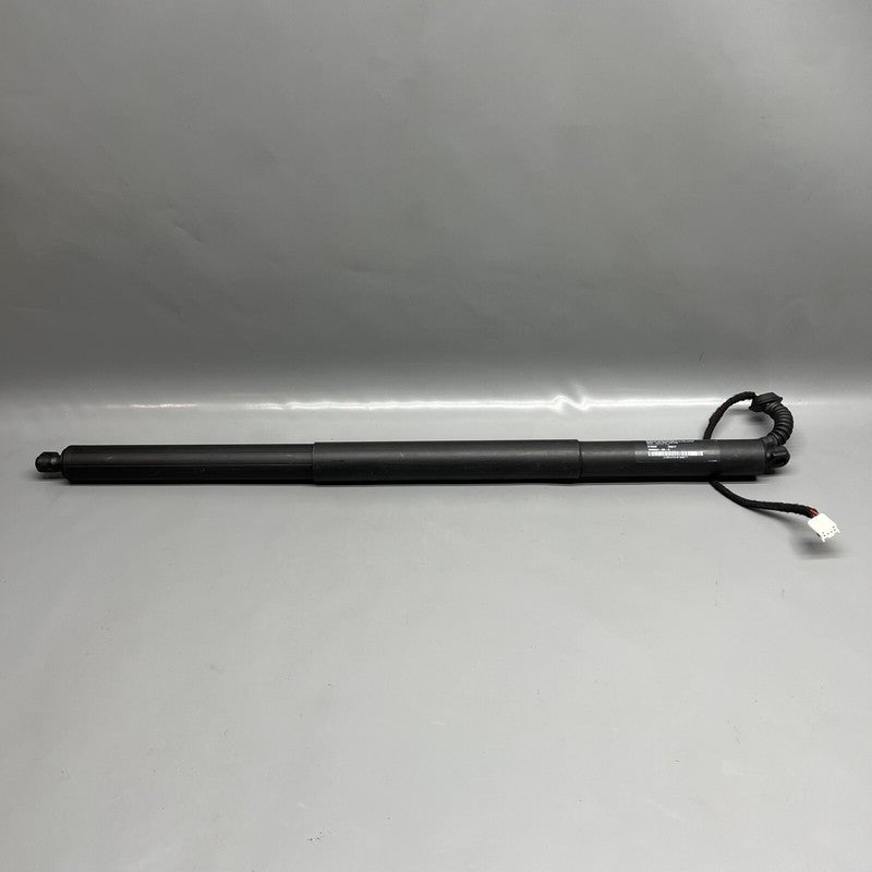 1065664-00-A TESLA MODEL X LIFT GATE SHOCK STRUT LEFT 2016 2017 2018 19 2020 OEM 1065664-00-A