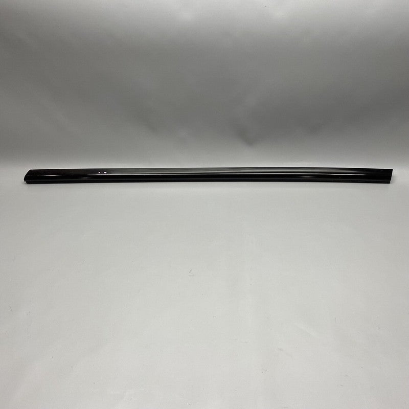 1600171-00 TESLA MODEL S PLAID DOOR OUTER BELT LEFT FRONT 2021 2022 2023 OEM 