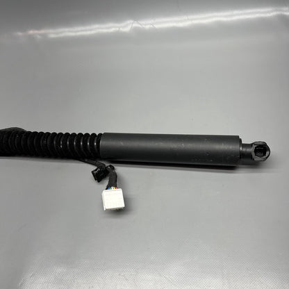 1063440-01-F TESLA MODEL X DOOR STRUT SHOCK REAR 2016 2017 2018 2019 20 2021 OEM 1063440-01-F
