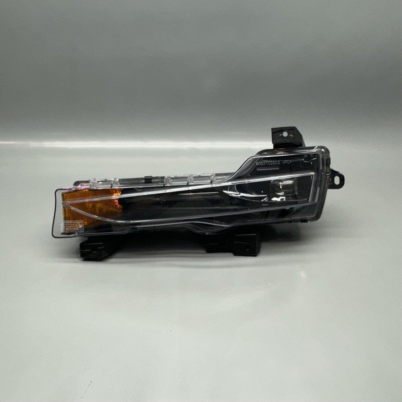 1077391-00-F TESLA MODEL 3 FOG LIGHT LEFT DRIVER 2017 18 19 20 21 22 2023 OEM 1077391-00-F