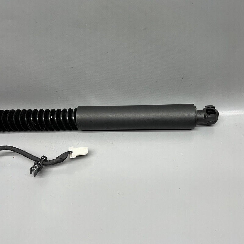1063440-01-D TESLA MODEL X DOOR SHOCK STRUT REAR 2016 2017 2018 2019 2020 OEM 1063440-01-D