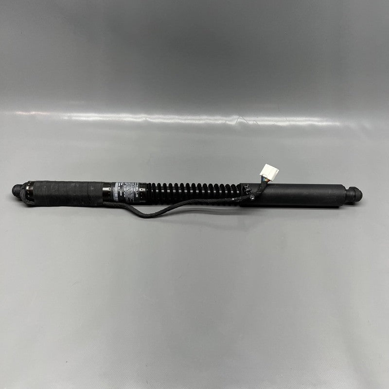 1063440-01-F TESLA MODEL X DOOR STRUT SHOCK REAR 2016 2017 2018 2019 20 2021 OEM 1063440-01-F