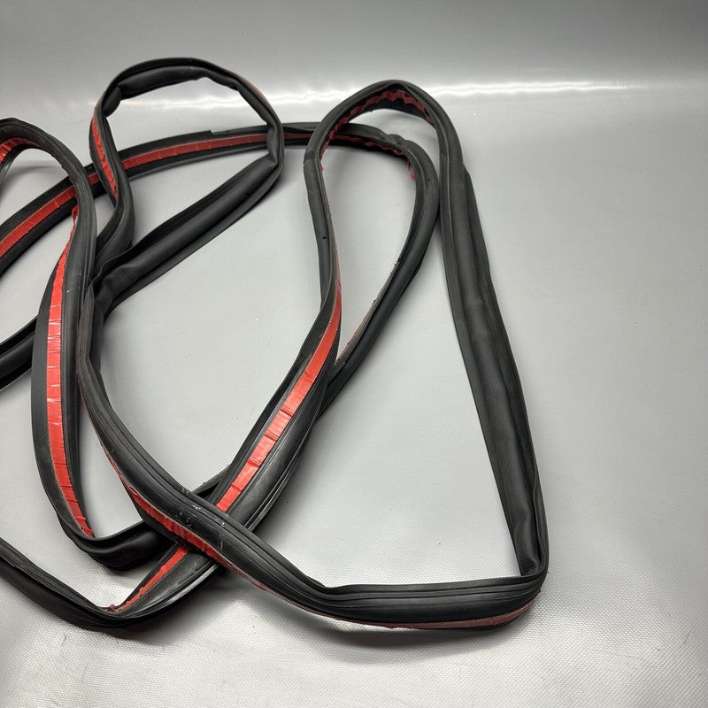 1032469-00-C TESLA MODEL X PRIMARY DOOR SEAL LEFT REAR 2016 17 18 19 2020 OEM 1032469-00-C