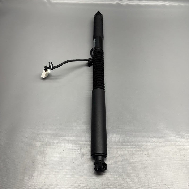 1063440-00-D TESLA MODEL X DOOR STRUT SHOCK REAR 2016 2017 2018 2019 2020 OEM 1063440-00-D