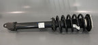 1044097-00-A TESLA MODEL 3 STRUT SHOCK RWD RIGHT 2017 2018 2019 2020 OEM
