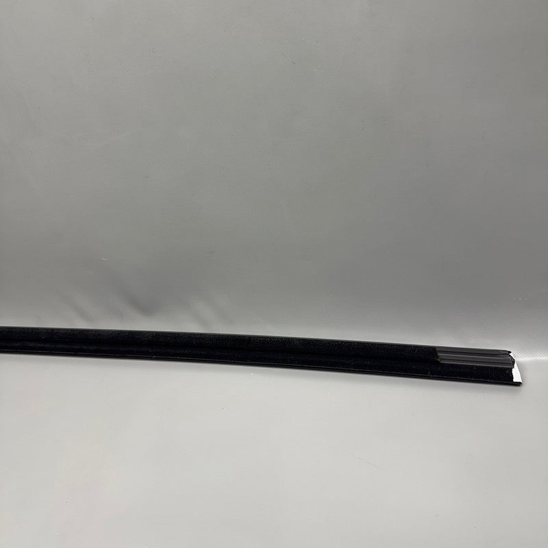 1080681-00-H TESLA MODEL 3 DOOR BELT MOLDING 2017 2018 2019 2020 2021 2022 2023 2024 2025 OEM