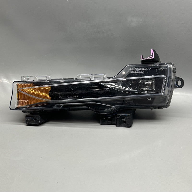 TESLA MODEL 3 FOG LIGHT LEFT DRIVER 2017 2018 2019 2020 OEM 1077391-00