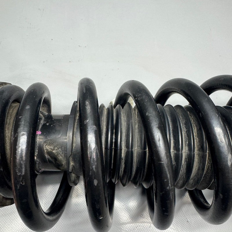 TESLA MODEL 3 SHOCK STRUT RIGHT FRONT 2017 2018 2019 2020 2021 OEM RWD