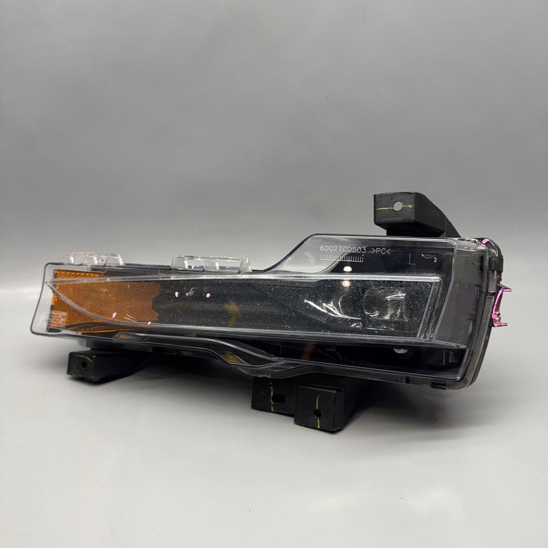 1077391-00-F TESLA MODEL 3 FOG LIGHT LEFT DRIVER 2017 2018 2019 2020 2021 2022 OEM